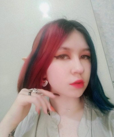 Влада, Г. Донской